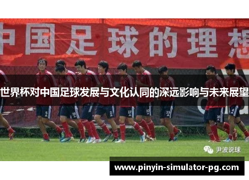 世界杯对中国足球发展与文化认同的深远影响与未来展望