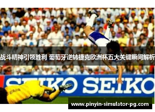 战斗精神引领胜利 葡萄牙逆转捷克欧洲杯五大关键瞬间解析