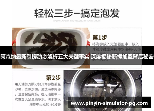 阿森纳最新引援动态解析五大关键事实 深度揭秘新援加盟背后秘密