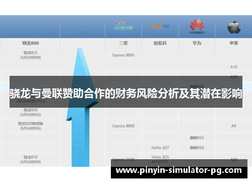 骁龙与曼联赞助合作的财务风险分析及其潜在影响