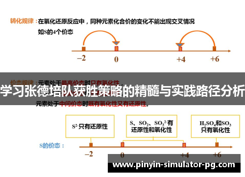 学习张德培队获胜策略的精髓与实践路径分析