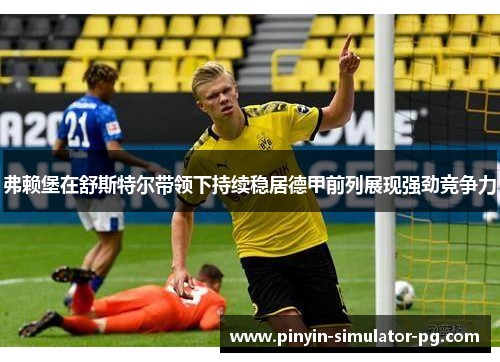 弗赖堡在舒斯特尔带领下持续稳居德甲前列展现强劲竞争力