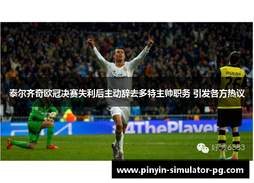 泰尔齐奇欧冠决赛失利后主动辞去多特主帅职务 引发各方热议 泰尔齐奇欧冠决赛失利后主动辞去多特主帅职务 引发各方热议