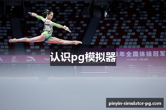 认识pg模拟器